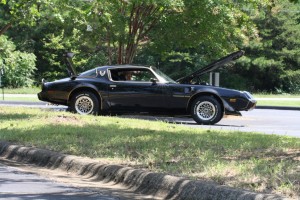 1979 Pontiac Trans Am    