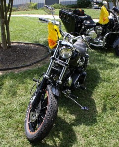 1981 Harley-Davidson V-Twin