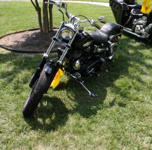 1981 Harley-Davidson V-Twin